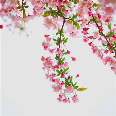 魔法英雄无敌游戏(暂未上线)v1.1.0 安卓版